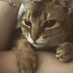 Kang Daniel Instagram - 즐추😉✌️