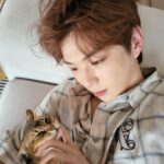 Kang Daniel Instagram - Im just a Grooming machine for cats..👾🤖