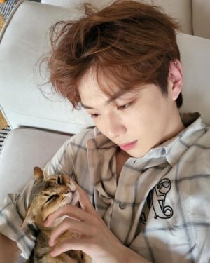 Kang Daniel Instagram - Im just a Grooming machine for cats..👾🤖