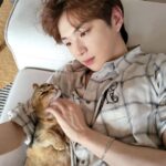 Kang Daniel Instagram - Im just a Grooming machine for cats..👾🤖