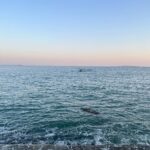 Kang Eun-bin Instagram - 바다 참 좋아하네 🌊🌊