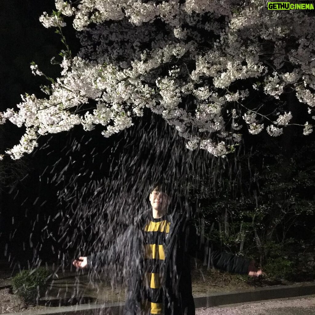Kang Yoo-seok Instagram - 벚꽃엔딩