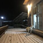 Kang Yoo-seok Instagram - 여기 눈 오는데 집에 좀 들여보내주시죠?🐶 Gangneung
