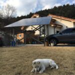 Kang Yoo-seok Instagram - 강릉가고싶다 강릉갈사람...🐾 숙박제공🏠 또미랑 겨울이도있어요🐶🐶 강릉우리집에서