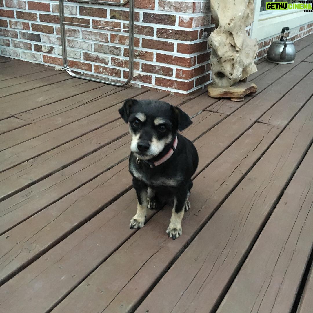 Kang Yoo-seok Instagram - 강릉일기 1. 자~~시작합니당 2. 춘천 인천 투천 아즈씨들과 강릉 3. (Feat. 몰래온 손님 제로) 4. 바다 처음본대요~~ 5. 우리집 겨울이가 낳은 아가🐶 6. 겨울이가 아가낳아서 상상임신한 우리 또미,,🐶 7. 집 마당에서 고기꾸워먹었지롱 8. 그롬 안뇽~ 강릉 집에서