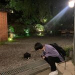 Kang Yoo-seok Instagram - 가을 돌려주세요🍂