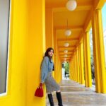 Kanika Kapoor Instagram – Miami ☀️🌈🌴

#miamidump #kanikakapoorlive

Thank you my dearest @lucydoughty ❤️ Miami Design District