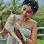 Kanika Mann Instagram - “If cats could talk .. They wouldn’t “- Nan Porter 😂😂😂