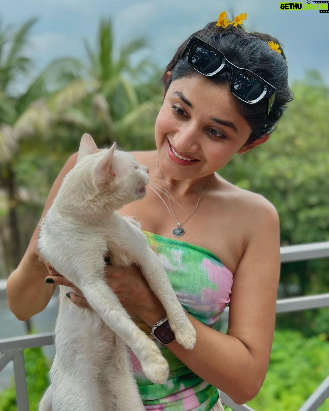 Kanika Mann Instagram - “If cats could talk .. They wouldn’t “- Nan Porter 😂😂😂