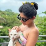 Kanika Mann Instagram - “If cats could talk .. They wouldn’t “- Nan Porter 😂😂😂