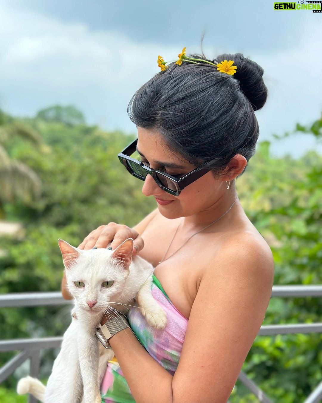 Kanika Mann Instagram - “If cats could talk .. They wouldn’t “- Nan Porter 😂😂😂