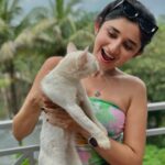 Kanika Mann Instagram – “If cats could talk ..
They wouldn’t “- Nan Porter 
😂😂😂