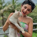 Kanika Mann Instagram - “If cats could talk .. They wouldn’t “- Nan Porter 😂😂😂