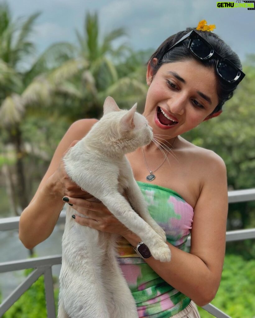 Kanika Mann Instagram - “If cats could talk .. They wouldn’t “- Nan Porter 😂😂😂