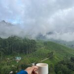 Kanika Mann Instagram - I clicked a few for you 💙 Coz the pictures were doing injustice to the beauty of reality there 🙄 It was really dreamy 💫 Don’t miss the rainbow in the 3rd slide 🌈 . . . This place is surreal ☁️ Thanks for the wonderful hospitality @blanketmunnar 🧡 Munnar Kerala