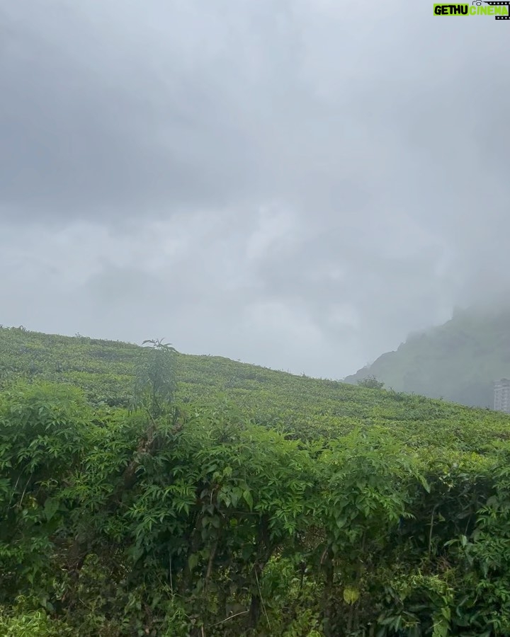Kanika Mann Instagram - I clicked a few for you π Coz the pictures were doing injustice to the beauty of reality there π It was really dreamy π« Donβt miss the rainbow in the 3rd slide π . . . This place is surreal βοΈ Thanks for the wonderful hospitality @blanketmunnar π§‘ Munnar Kerala