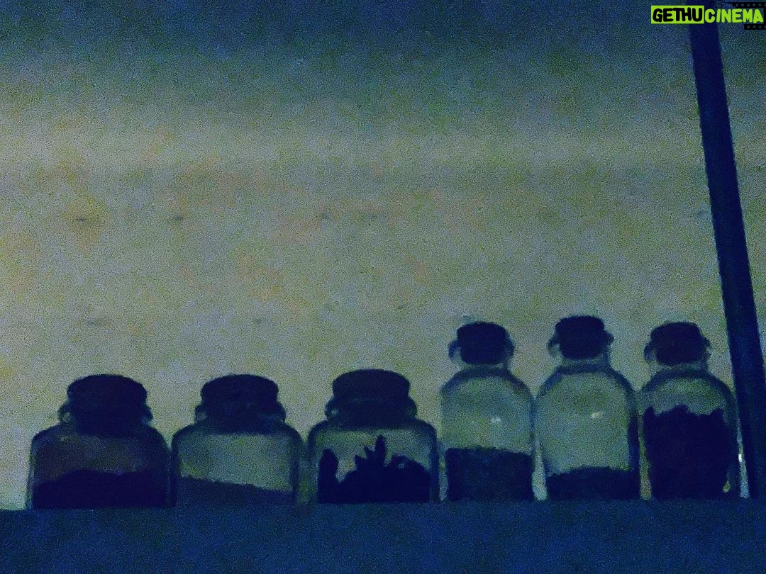 Kaoru Okunuki Instagram - . カウンターの端に座って 中で働くスタッフのみなさんの姿を眺めるのが、とても好き 溌剌とした佇まいと、手さばきの美しさと この光景がここのお料理の味わいのひとつだなあと思いながら いつも見ていました ピザを焼いていらした レイさん @nmi_rei がNYに行かれると知り お見送りできずに残念だったけれど 新天地でのご活躍を祈って! 写真はいつかの5月 若さって素晴らしい 行くたびに、 こんなところで青春を過ごしてみたかったなと思う @songbook_daita