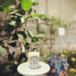 Kaoru Okunuki Instagram - . 原宿に現れた、小さなパリ。 Diptyqueの香りで埋め尽くされたStoreには、 職人さんたちの魂が息づいていました。 Diptyque Japan で働く友人の素晴らしい仕事を見られて、 私の気持ちも華やかに。 Merci Motoko♡ @diptyque @motokopeach