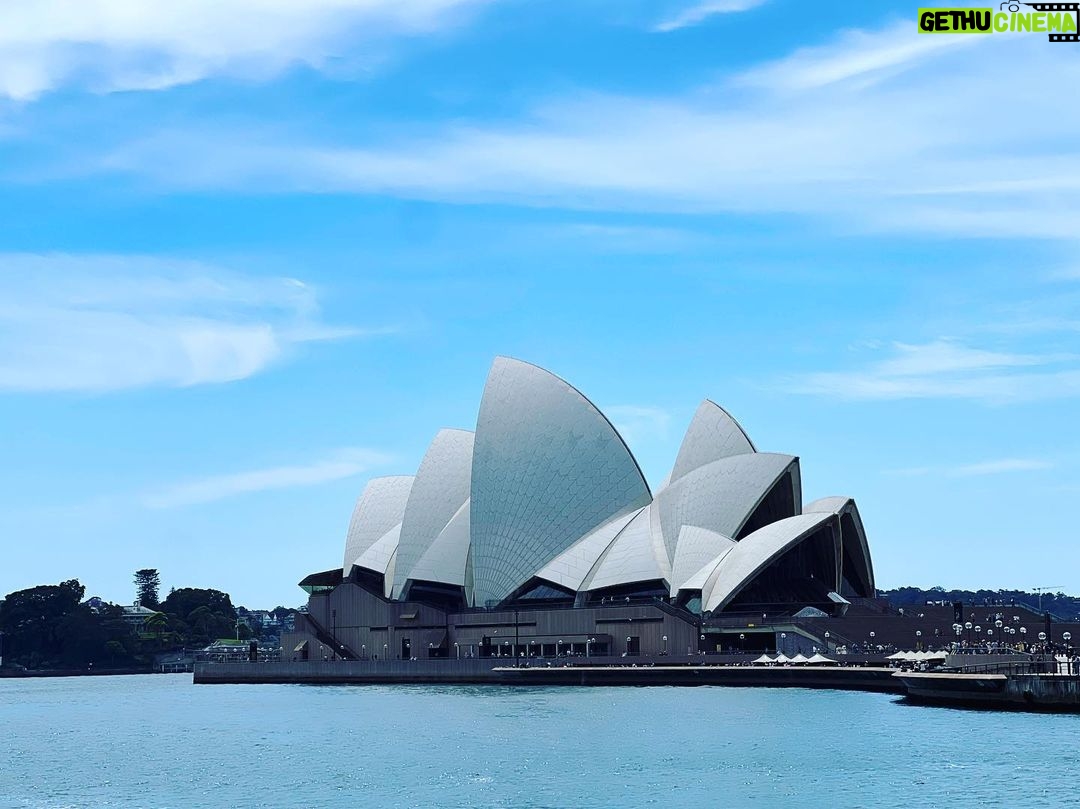 Kaoru Okunuki Instagram - . Opera house @sydneyoperahouse その昔アボリジニが暮らしていたという海辺に建つ オペラハウス。 帆にも貝殻にも思えるデザインはどの角度から見ても美しく、 100万枚のタイルの白は光を反射し、黄色はやわらかく輝き、 そのグラデーションはまるで漣のよう。 夜はコンサートホールでシドニー交響楽団を。 天井にもピンクの貝殻。 演目はANNE-SOPHIE MUTTER &THE MUSIC OF JOHN WILLIAMS ブラボー!! ばらばらに取れた最後の二席だったので ひとりで座っている息子のうしろ姿をときどき確かめながら。