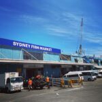 Kaoru Okunuki Instagram - . SYDNEY FISH MARKET @sydneyfishmarket 南半球最大の魚市場で、水揚げ量は豊洲に次いで世界2位だとか。活気があり賑わっていました🐟