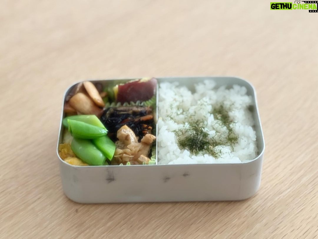 Kaoru Okunuki Instagram - . 今日はわっぱ弁当。 冬場は暖飯器があるのでアルミのお弁当箱を使っているのだけれど、お弁当バッグごと学校に忘れてきたので、久しぶりに◯ 小学生のお弁当もあと少し。 #鶏と厚揚げのハンバーグ #トマトと卵の中華炒め #かぼちゃの煮物 #切り干し大根 #大根葉のごま油炒め #スナップえんどう #ひき肉オムレツ #エリンギのバター醤油炒め #さつまいも #ひじき煮 #切り干し大根 #スナップえんどう
