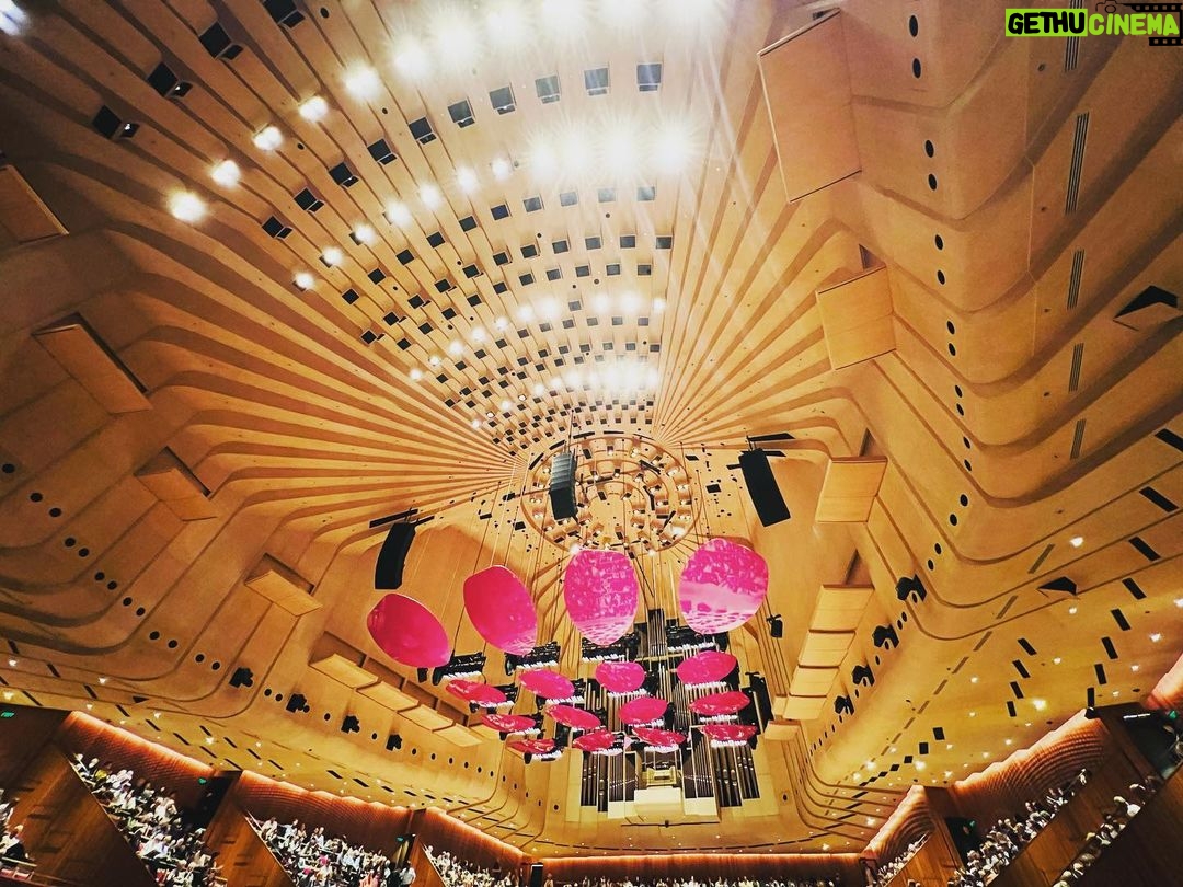 Kaoru Okunuki Instagram - . Opera house @sydneyoperahouse その昔アボリジニが暮らしていたという海辺に建つ オペラハウス。 帆にも貝殻にも思えるデザインはどの角度から見ても美しく、 100万枚のタイルの白は光を反射し、黄色はやわらかく輝き、 そのグラデーションはまるで漣のよう。 夜はコンサートホールでシドニー交響楽団を。 天井にもピンクの貝殻。 演目はANNE-SOPHIE MUTTER &THE MUSIC OF JOHN WILLIAMS ブラボー!! ばらばらに取れた最後の二席だったので ひとりで座っている息子のうしろ姿をときどき確かめながら。
