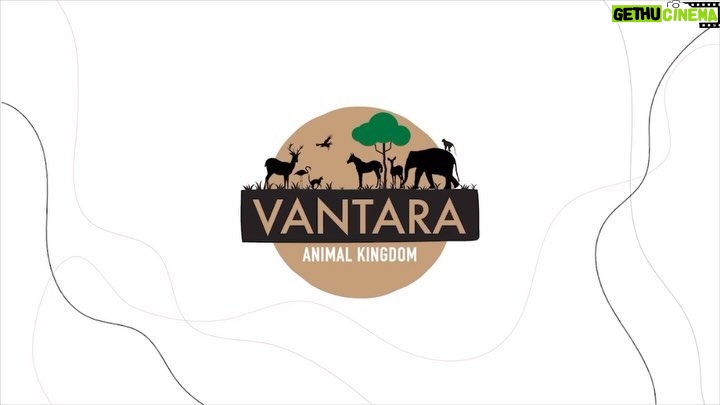 Karan Johar Instagram - Rooted in deep love for animals and the wild life as a whole, the initiative of Vantara by Anant Ambani only strengthens my belief in his passion & compassion towards the cause. Nothing he does is ever half hearted and here he is, promising the world a more heart-ful space! Reliance Industries and Reliance Foundation’s newly launched Vantara programme focuses on the rescue, treatment, care and rehabilitation of injured, abused and threatened animals, both in India and abroad. More power, love & support to you and this initiative - thank you for providing this safe space for our wildlife! #Vantara #AnantAmbani @reliancefoundation