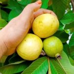 Karate Kalyani Padala Instagram - మా ఊరిలో కవిటి శ్రీకాకుళం జిల్లాలో. తాతగారి ఇంటి దగ్గర ఆనందం 🥳🥳🥳🔥🔥🤩🤩🤩🤩🥰🥰🥰