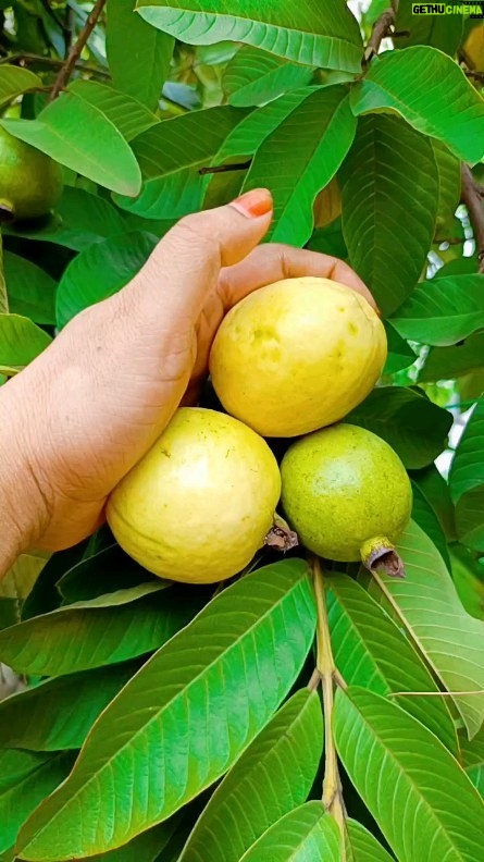 Karate Kalyani Padala Instagram - మా ఊరిలో కవిటి శ్రీకాకుళం జిల్లాలో. తాతగారి ఇంటి దగ్గర ఆనందం 🥳🥳🥳🔥🔥🤩🤩🤩🤩🥰🥰🥰