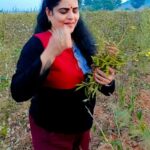 Karate Kalyani Padala Instagram - ప్రకృతి అందాలను చూస్తూ ఉంటే సమయం తెలియదు కదా 🤩🤩🤩🤩🤩🤩🤩🤩🤩🤩