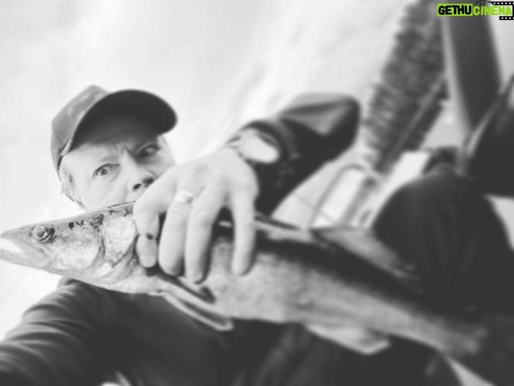 Kari Hietalahti Instagram - That is Zander, jeah baby 🪼 • #zander #pikeperch #opminternational #yamahamotorfinland #kuusamonuistin #yamarincross #saimaamoments #53cm Enonkoski