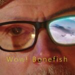 Kari Hietalahti Instagram - A spanish art film about fly tying by @sakari_hietalahti 🦂 • #flytying #bonefishflies #bonefish #visionflyfishing #saltwaterflyfishing #saltwaterflytying #cubaflyfishing #perhonsidonta #hissuflies Helsinki, Finland