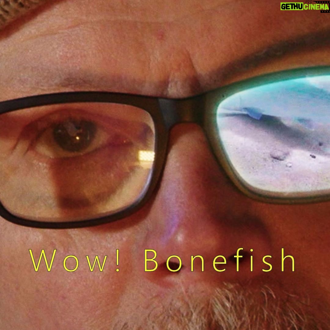 Kari Hietalahti Instagram - A spanish art film about fly tying by @sakari_hietalahti 🦂 • #flytying #bonefishflies #bonefish #visionflyfishing #saltwaterflyfishing #saltwaterflytying #cubaflyfishing #perhonsidonta #hissuflies Helsinki, Finland