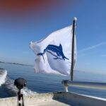 Kari Hietalahti Instagram - Atlantic Fishing on the ride🐬 • #atlanticfishing #seatroutfishing #siikaonginta #balticsea🌊 #helsinkiarchipelago #helsinki #lowrancefishing #opminternational Helsinki Archipelago