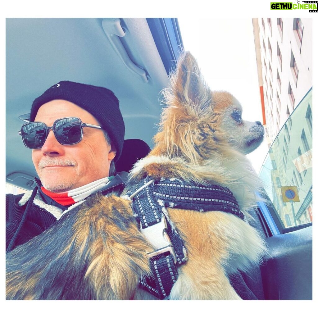 Kari Hietalahti Instagram - Stakeout something 👀 • #kenraalipancho #chihuahualife #cruisinginstyle #chihuahuasofinstagram #seniorchihuahua #leejeans #asenneshades Kamppi, Helsinki