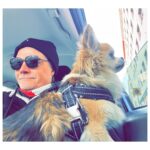 Kari Hietalahti Instagram - Stakeout something 👀 • #kenraalipancho #chihuahualife #cruisinginstyle #chihuahuasofinstagram #seniorchihuahua #leejeans #asenneshades Kamppi, Helsinki