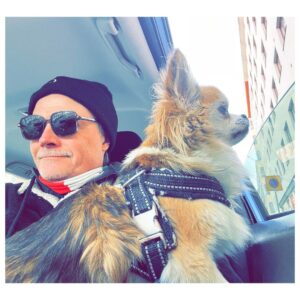 Kari Hietalahti Instagram - Stakeout something 👀 
•
#kenraalipancho #chihuahualife #cruisinginstyle #chihuahuasofinstagram #seniorchihuahua  #leejeans #asenneshades