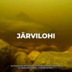 Kari Hietalahti Instagram – Lisää lisääntymisalueita kiitos!

Pelastetaan äärimmäisen arvokas järväri! Sisukas suomalainen!🇫🇮 
•
#maajametsätalousministeriö @mmm.fi #järvilohi #saimaa #vuoksenvesistö #pielinen #savethelakesalmon #lakesalmon #savethenatives #lohenuistelu #verkkokalastus #vesivoima #fortum #vattenfall #pelastetaanjärvilohi Saimaan Vesistö