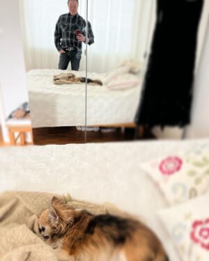 Kari Hietalahti Instagram - Posing & Sleeping😵‍💫😽 
•
#kenraalipancho #varusteleka #chihuahualife