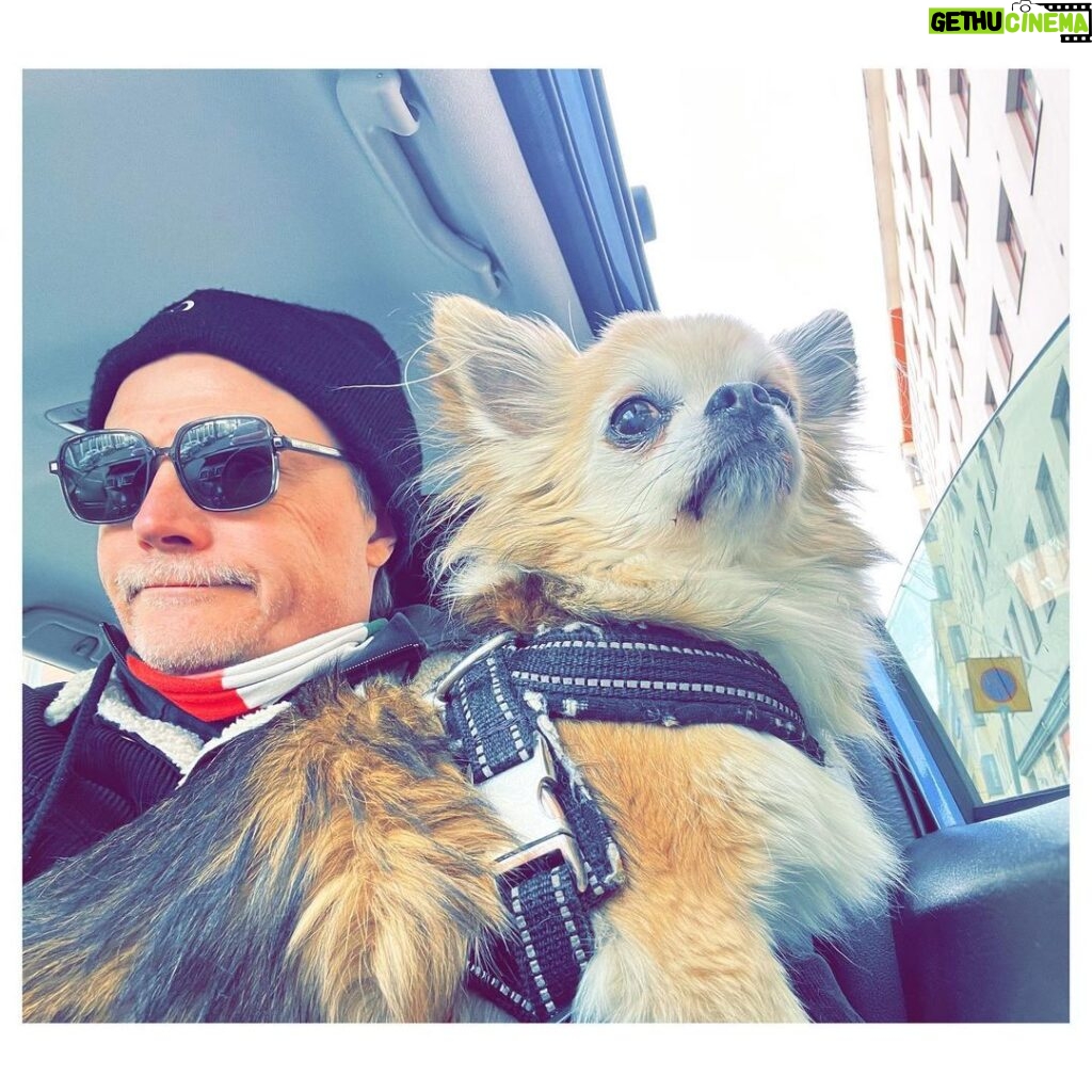 Kari Hietalahti Instagram - Stakeout something 👀 • #kenraalipancho #chihuahualife #cruisinginstyle #chihuahuasofinstagram #seniorchihuahua #leejeans #asenneshades Kamppi, Helsinki