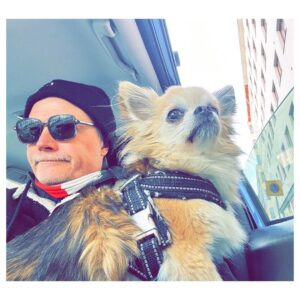 Kari Hietalahti Instagram - Stakeout something 👀 
•
#kenraalipancho #chihuahualife #cruisinginstyle #chihuahuasofinstagram #seniorchihuahua  #leejeans #asenneshades