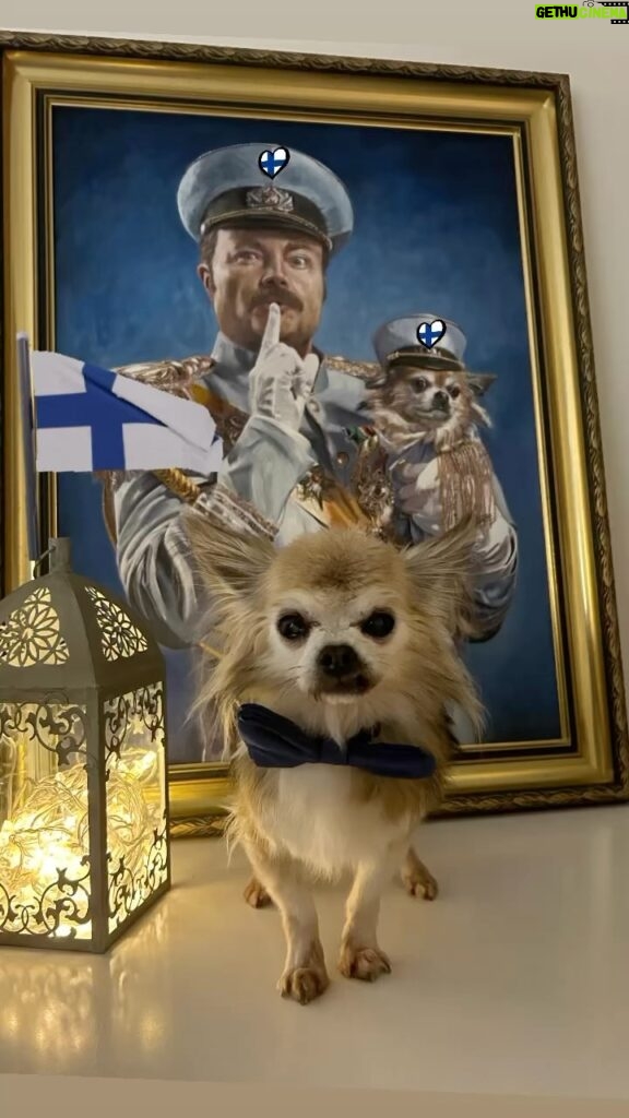Kari Hietalahti Instagram - the big general and the little general wish Finland a happy independence day. 🇫🇮Only the big general was allowed to be photographed.🦁 • #itsenäisyyspäivää🇫🇮 #finland #happybirthdayfinland #kenraalipancho Helsinki, Finland