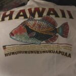 Kari Hietalahti Instagram – It is not the Kuha, it is the HUMUHUMUNUKUNUKUAPUAA🐠 
•
#humuhumunukunukuapuaa #hawaii #triggerfish #kiilasäppikala Ullanlinna
