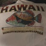 Kari Hietalahti Instagram - It is not the Kuha, it is the HUMUHUMUNUKUNUKUAPUAA🐠 • #humuhumunukunukuapuaa #hawaii #triggerfish #kiilasäppikala Ullanlinna