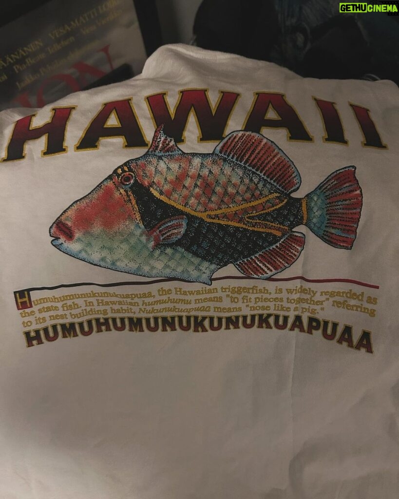 Kari Hietalahti Instagram - It is not the Kuha, it is the HUMUHUMUNUKUNUKUAPUAA🐠 • #humuhumunukunukuapuaa #hawaii #triggerfish #kiilasäppikala Ullanlinna