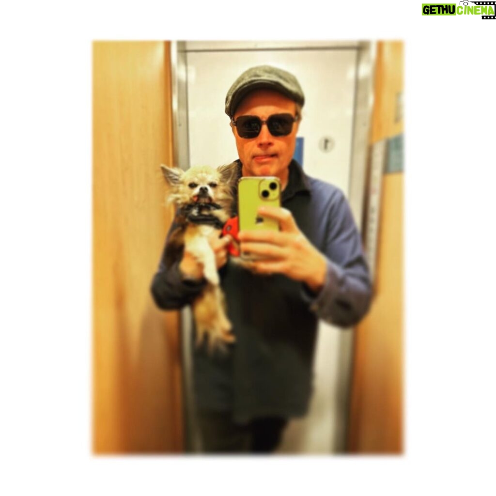 Kari Hietalahti Instagram - Old men in the mirror 😝 • #chihuahualife #kenraalipancho #generalpancho #seniordog #seniors #asenneshades Ullanlinna