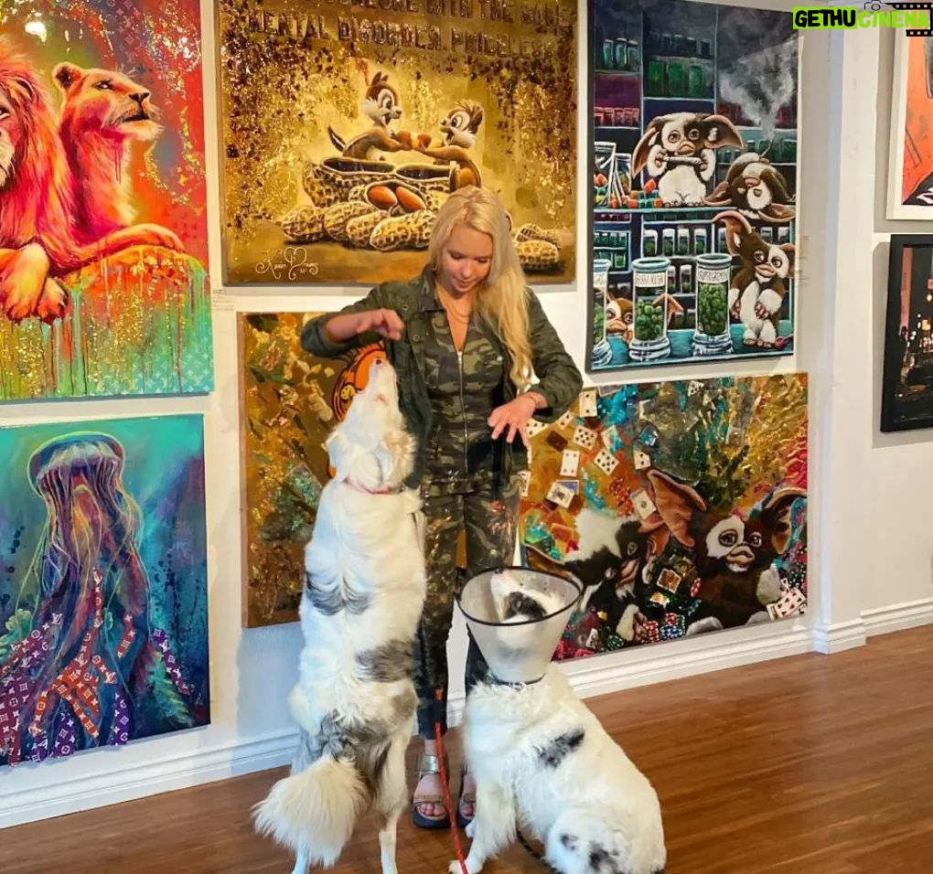 Karin Brauns Instagram - Kicking off the first weekend of June with great furry/ pawfect friends at the gallery Come in visit @colorfulsinartgallery . . . . . #artgallery #art #artist #gallery #pet #lovepet #sale #social #localartists #localart #popart #fineart #dog #life #business #june #laart #junedit #juneteenth #artist #artforsale #acrylicpaint #paintingart #etsy #colorfulsinartgallery #manhattanbeach #karinbrauns #beachart Manhattan Beach, California