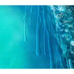 Karin Brauns Instagram - Closeups of "Go With The Flow" 48" × 24" Available for sale. Dm Team KB for inquiries. . . . . . . . . #artworld #artist #artstudio #artistsoninstagram #animalart #animals #sealife #seaart #seahorse #ocean #oceanlife #colorfulsinartgallery #art #newpiece #artgallery #manhattanbeach #manhattan #california #losangeles #wallart #karinbraunsgallery #karinbrauns