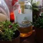 Karine Silva Instagram - Mente positiva ajuda à canalizar a cura. Lakhsmi Daimon Coffee drops : @brasilusahemp @medicalhempbrasil Manipulado: @farmaciadermatologica @cleangelabusanello Médico: @drmozartmorais #photooftheday #photographer #photography #medicinacanabica #usahemp