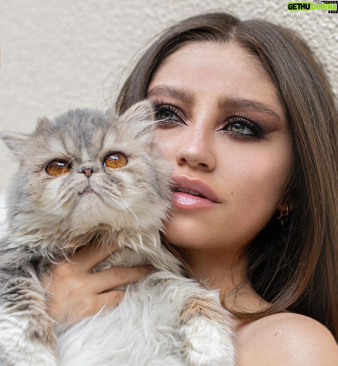 Karol Sevilla Instagram - Ando vendiendo el gatito de mi mamá!! JAJAJAJAJAJA 🐱🤣🫶🏼